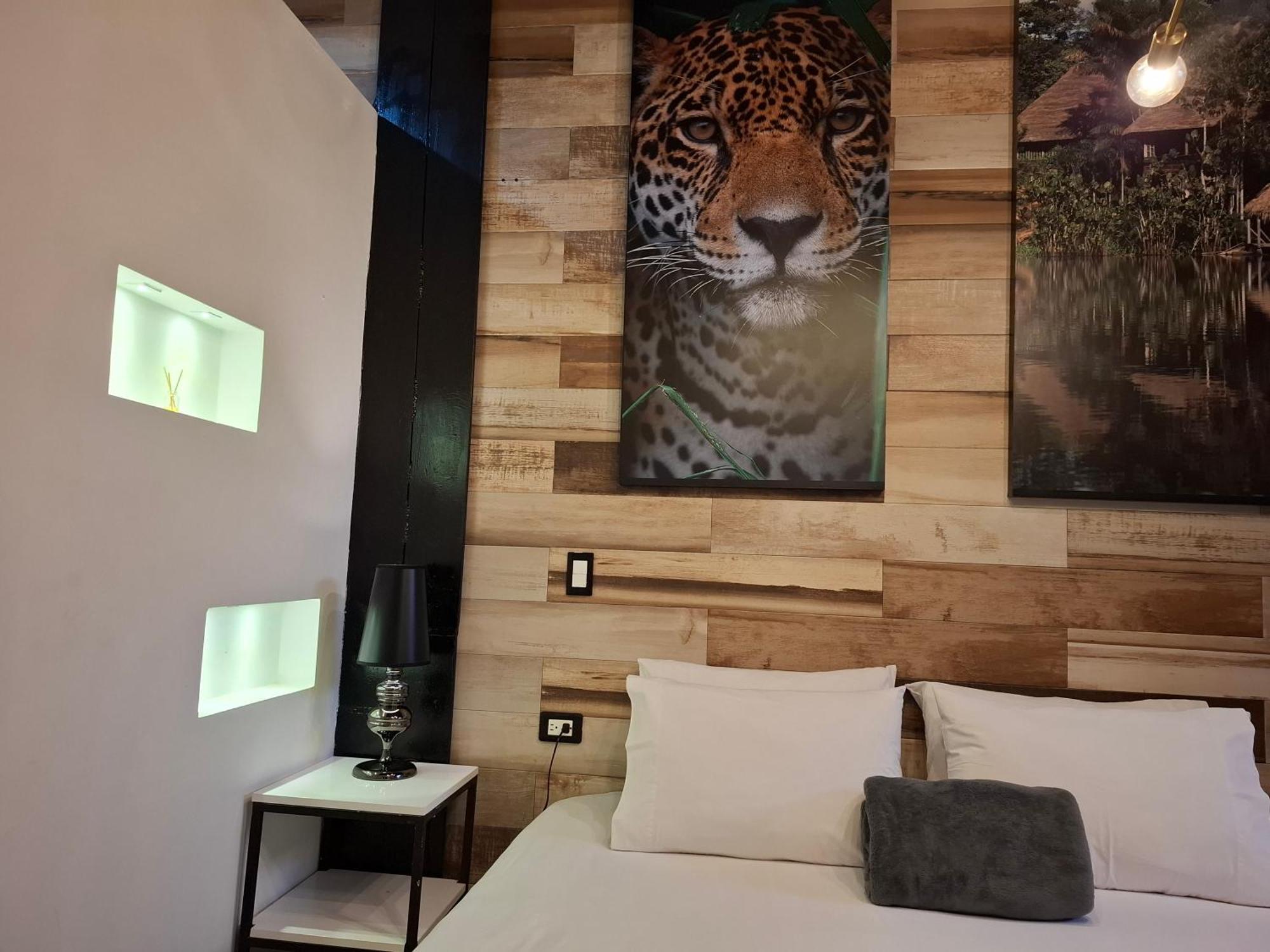Loft Lleras